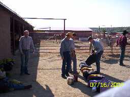 Arranging gear bags by weight prior to loading pack horses